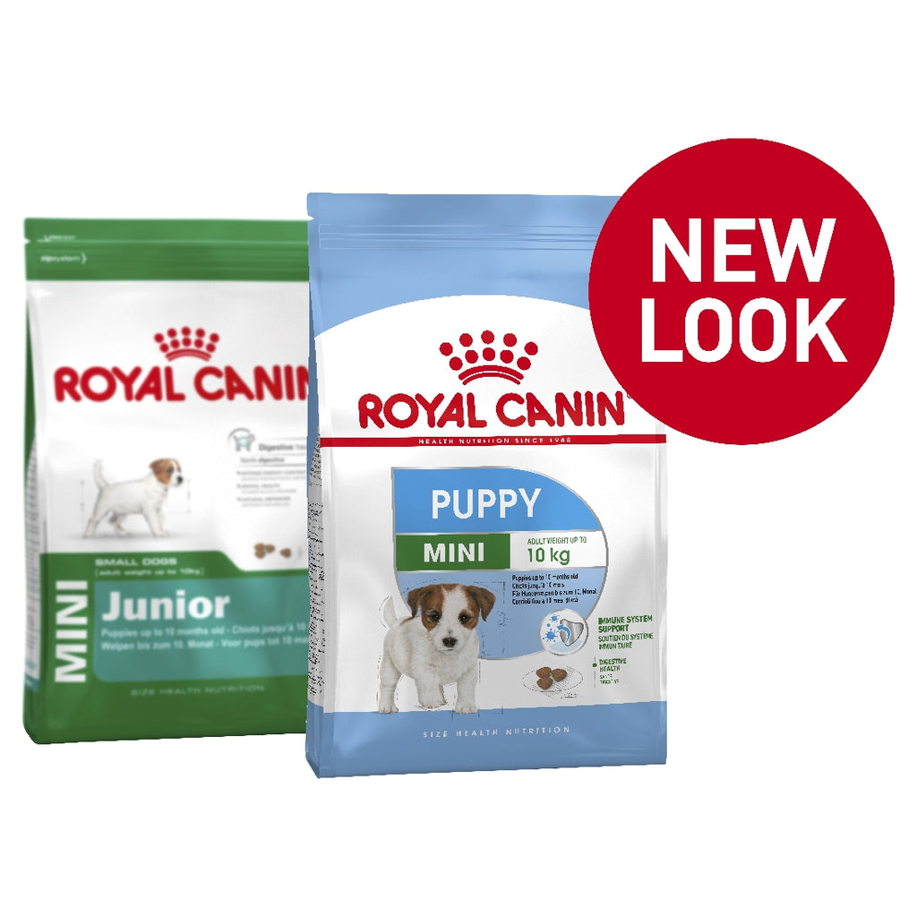 Royal store puppy junior