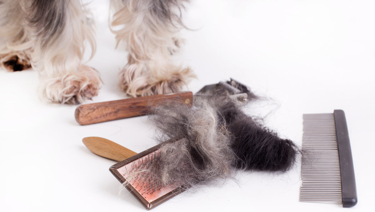 3 Simple Ways To Cope With Seasonal Shedding