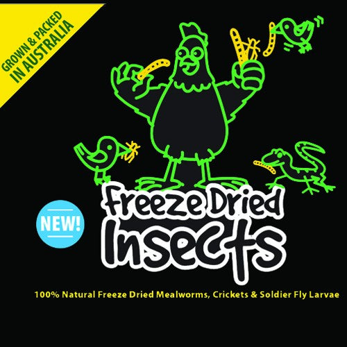 Freeze Dried Australian Mealworms 250g