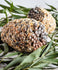 Forage Pine Cone Treat Parrot Large