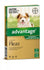 Advantage Small Dogs N Pups Up To 4kg
