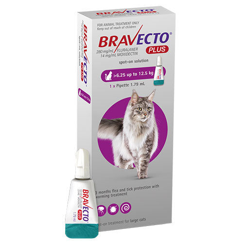 Bravecto Plus Cats 6.25 - 12.5kg
